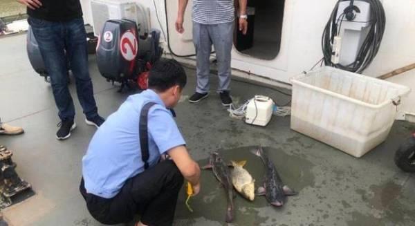 4万尾鲫鱼一年成本,鲫鱼一条成本多少钱