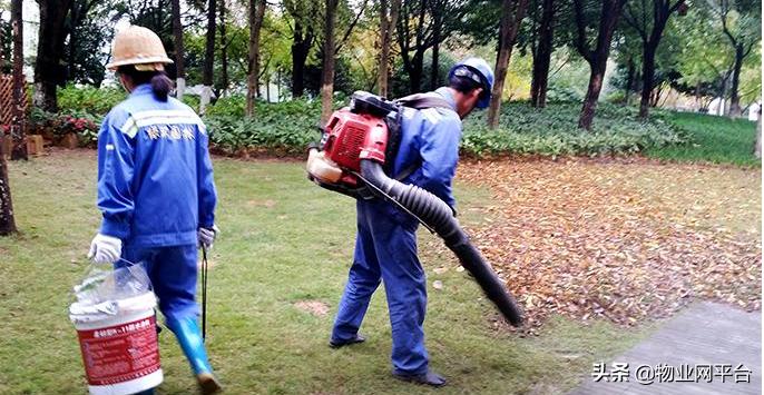 园林养护工具,常见的园林工具及养护知识