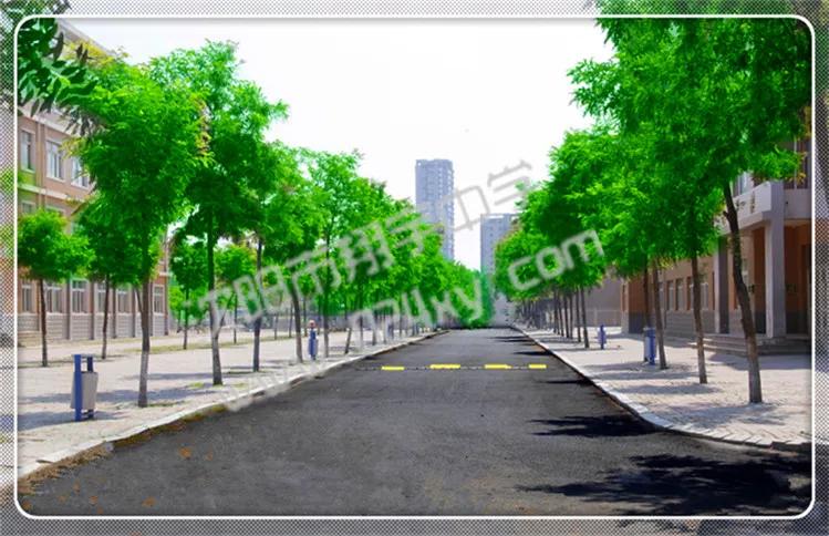 辽宁翔宇中学,2021辽宁沈阳翔宇中学