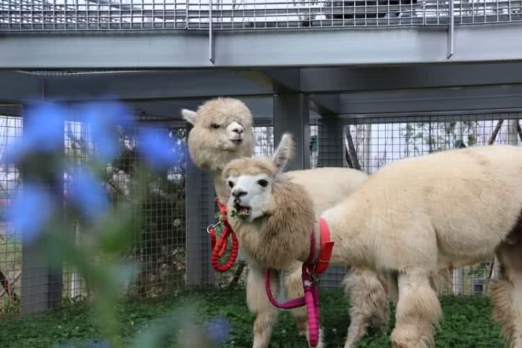 南戴河汐溪亲子酒店,北欧风情房推窗看海邂逅美景