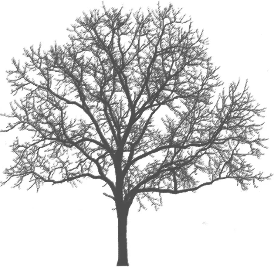 国庆嘉年华游玩,七彩欢乐世界国庆节