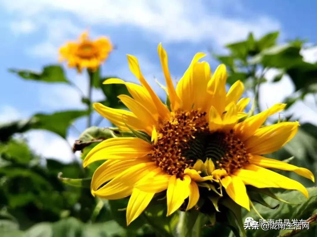 我叫成县，这是我2019年的自拍照