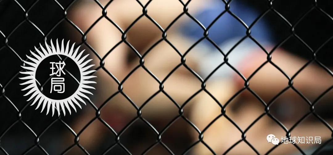 铁窗里的大碗牢饭,好吃么?|地球知识局