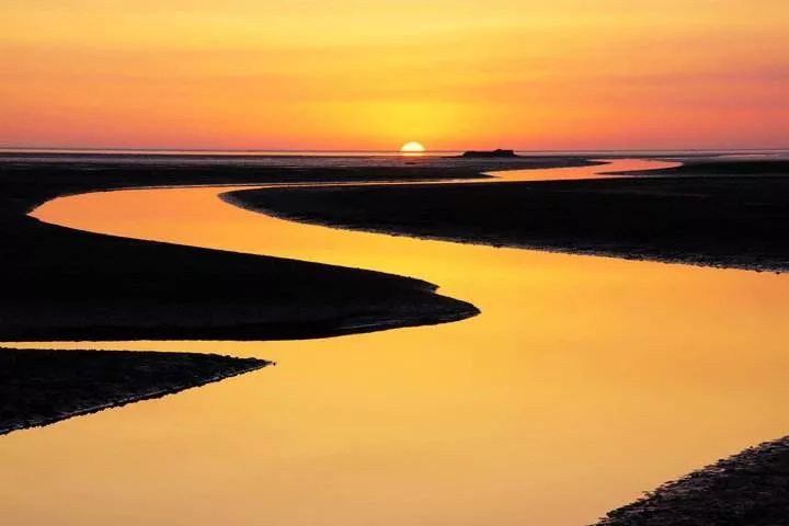 省政协原副主席陈光：虽只是个过客，却细细品尝了菏泽味道