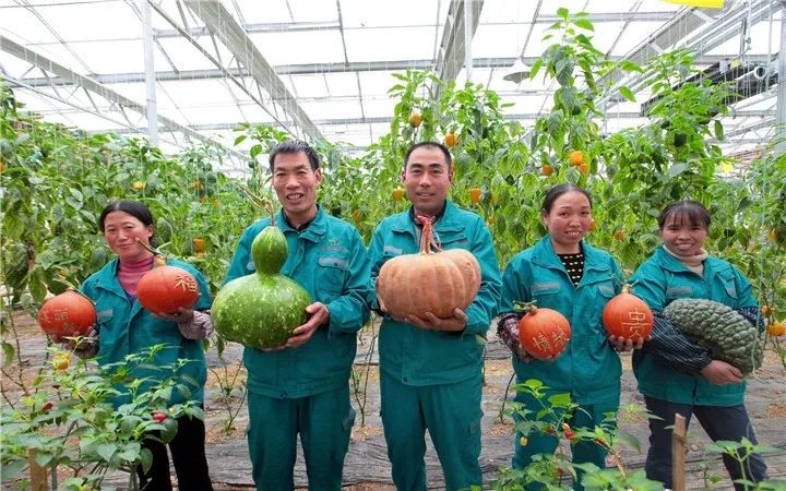 遵义市县区脱贫顺序,遵义的贫困县有哪些