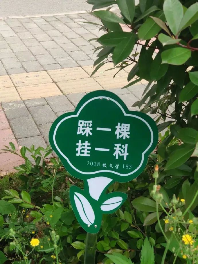 小时候的感觉我感同身受,小时候的我感同身受完整版