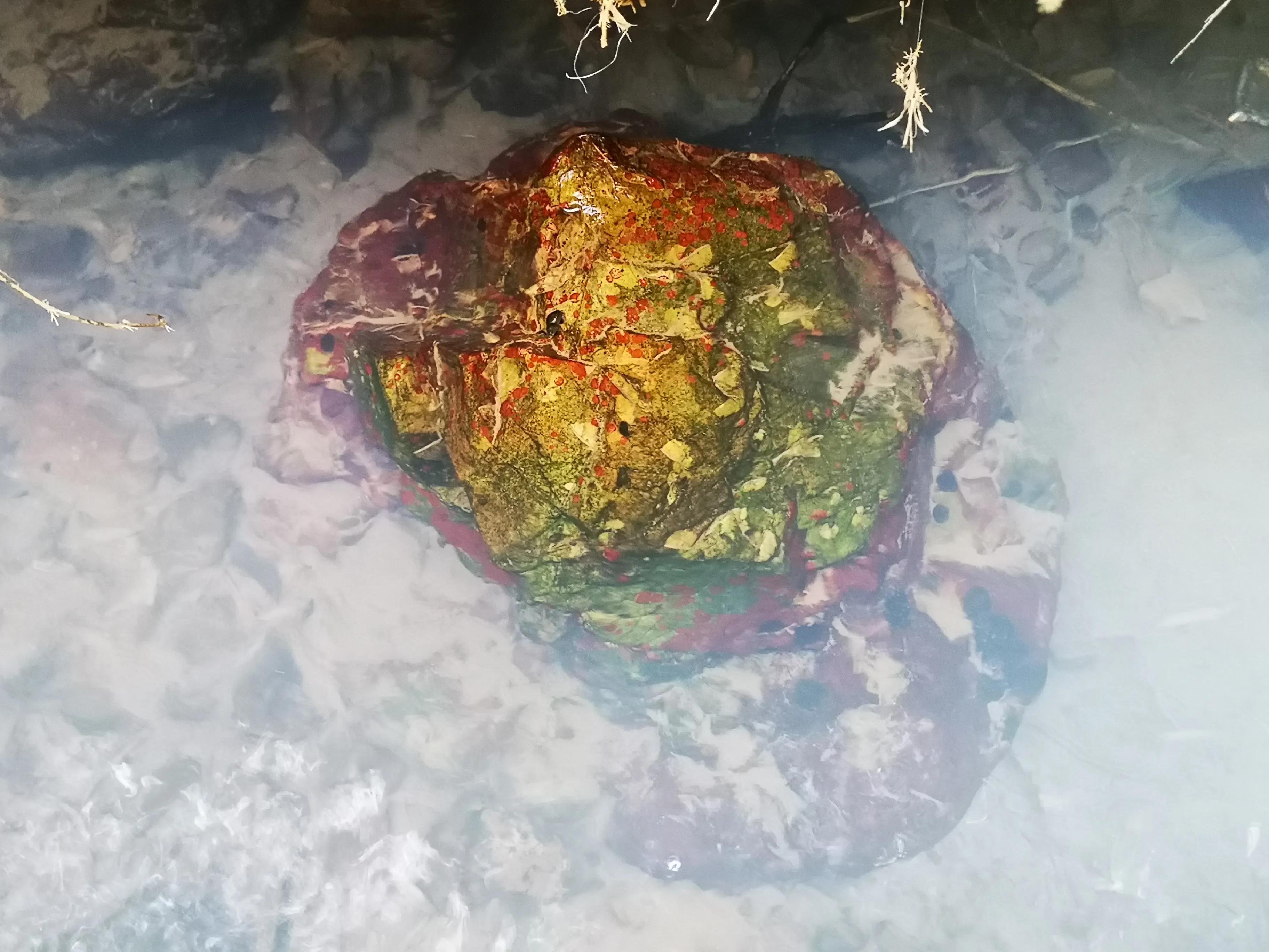 溧阳南山竹海小鸟天堂,宜兴南山竹海和溧阳南山竹海