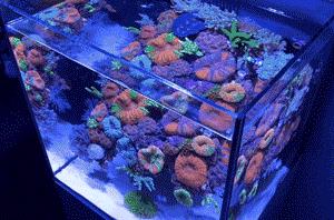 分享创富最佳方法,分享快速致富好项目