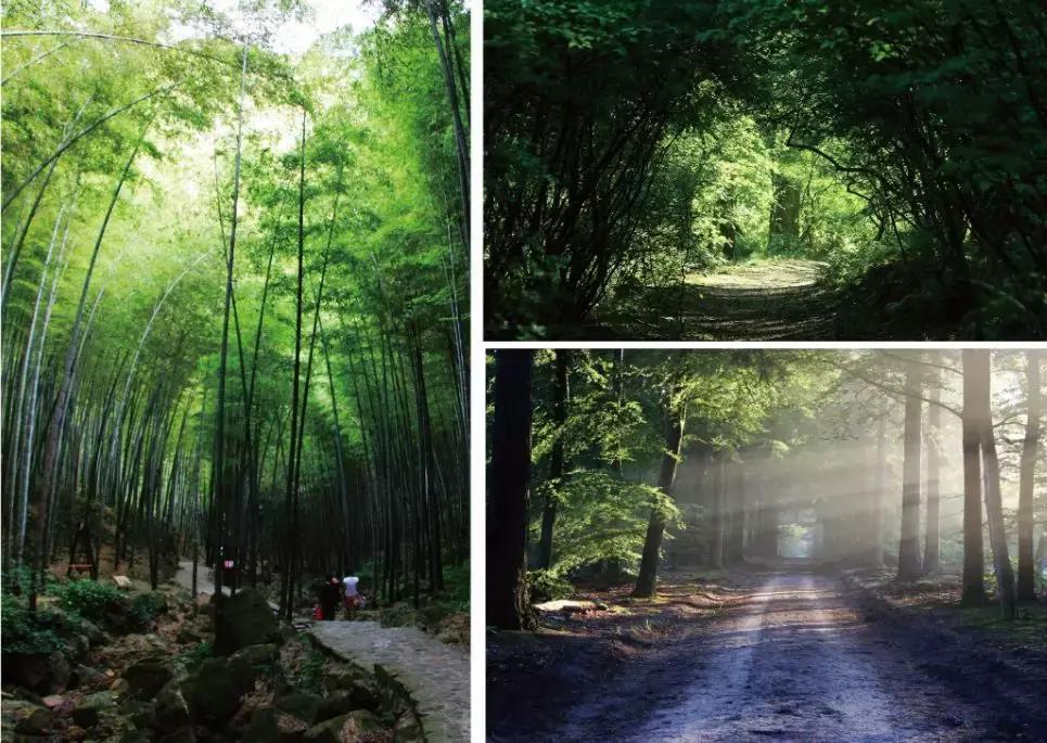 品智案例｜栖隐·大安民宿项目全案生态系统的突破