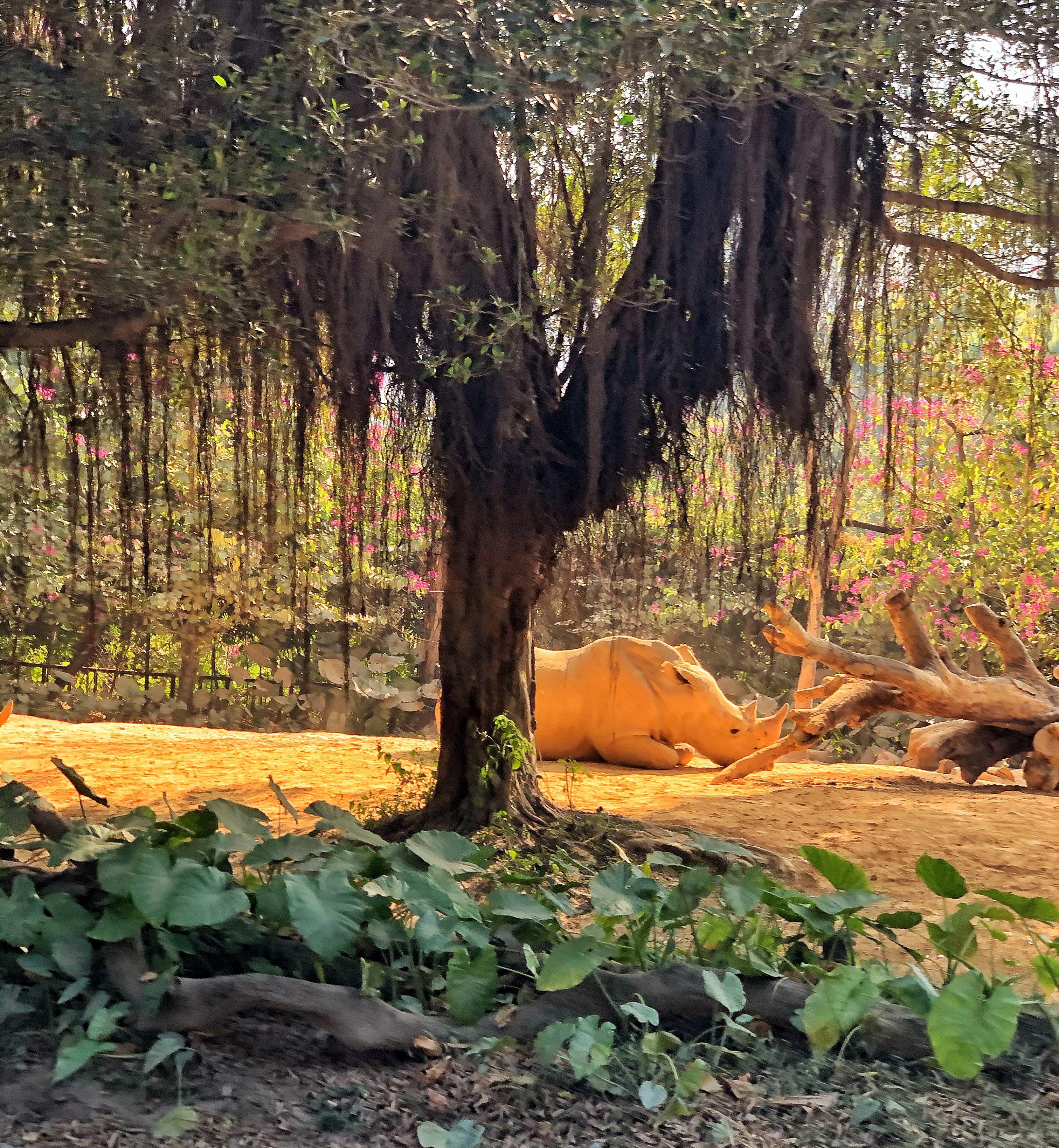 打卡国内热门榜1亲子游--广州长隆旅行攻略附带震撼价格！