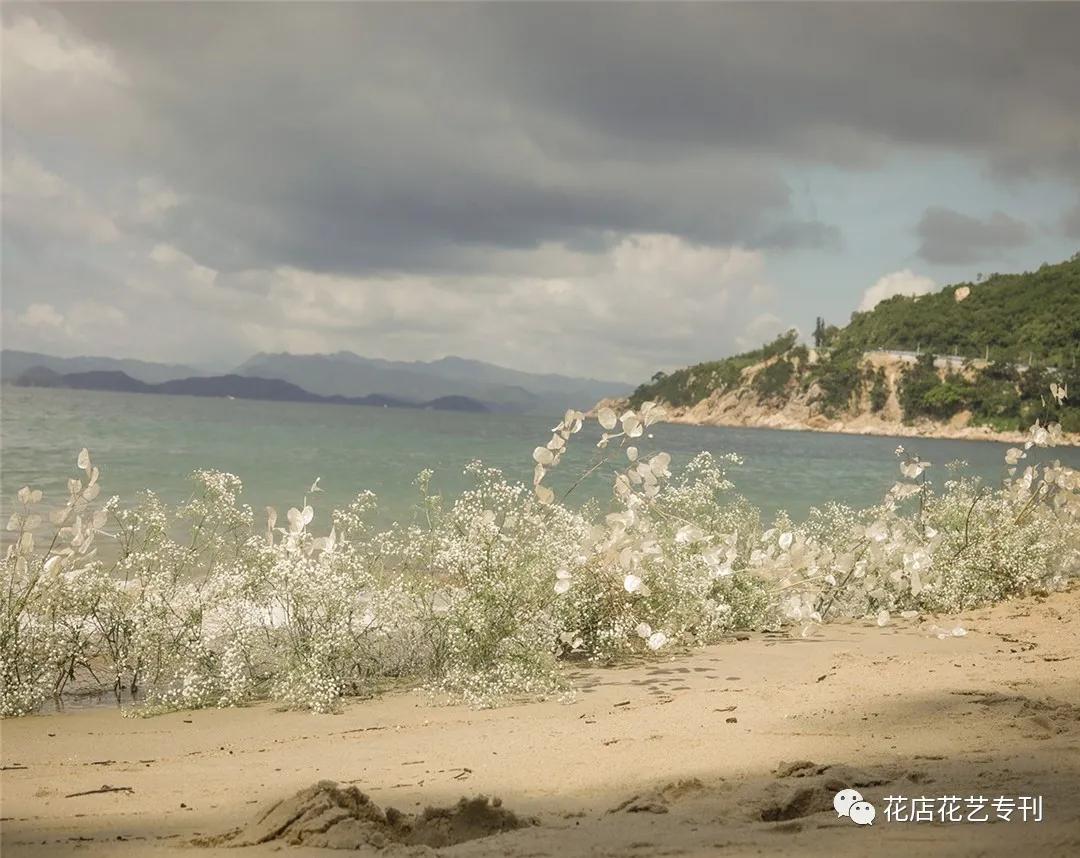 深圳TaleFlora：在花园里授课，做有灵魂的设计