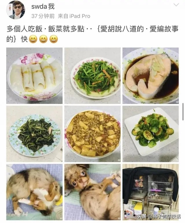 嫁入豪门郭碧婷向佐片段,郭碧婷婚前婚后的眼神变化