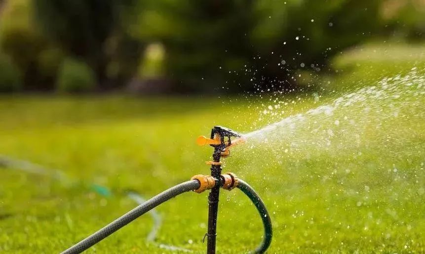 草坪一年四季如何养护,草坪休眠期管理方案