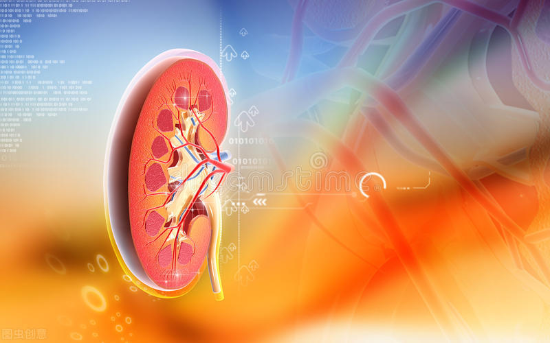 二甲双胍与降脂药同服可以吗,二甲双胍与胰岛素降糖效果谁更好