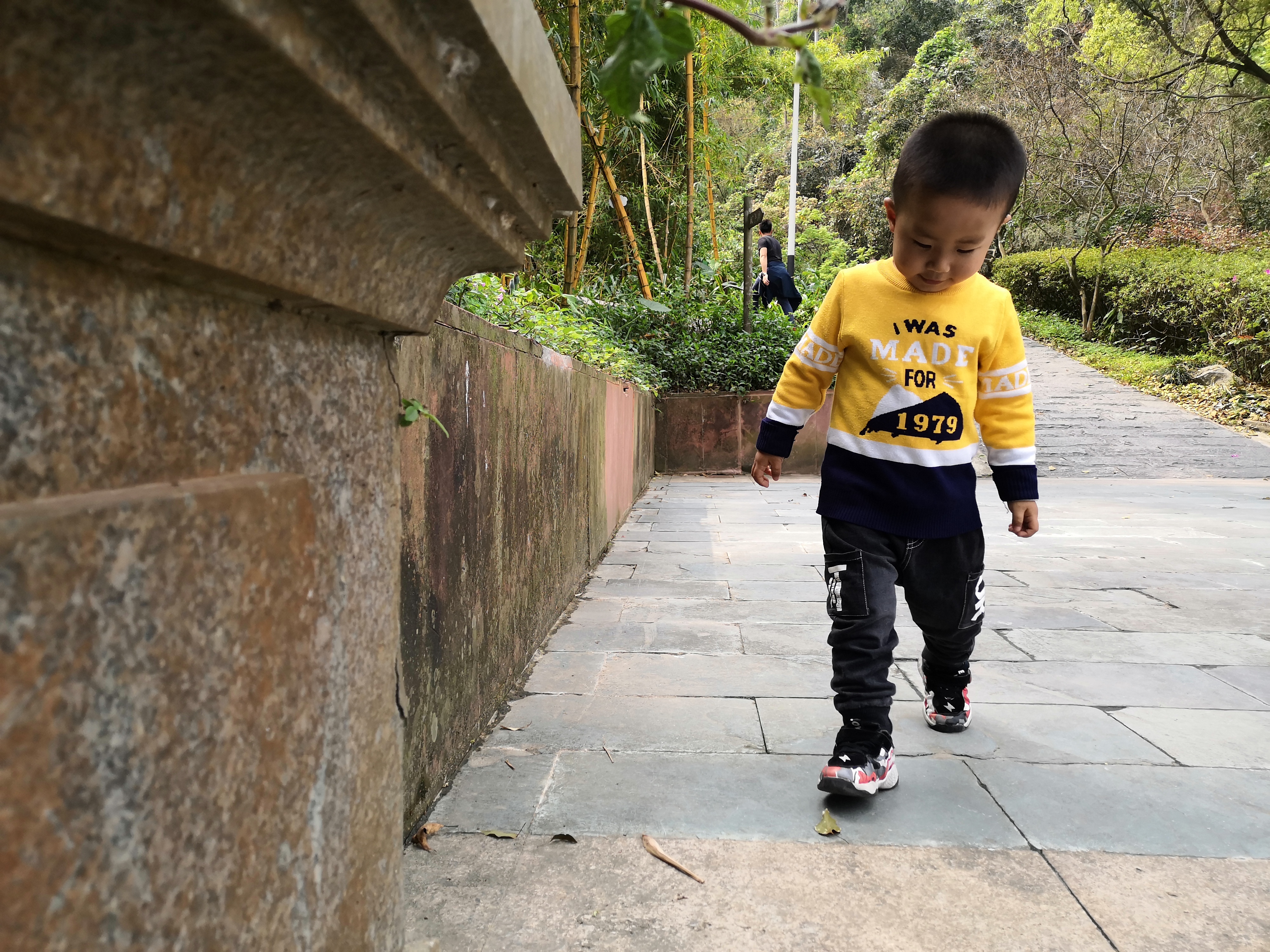 东莞水濂山森林公园爬山要不要钱,东莞水濂山森林公园可以爬山吗