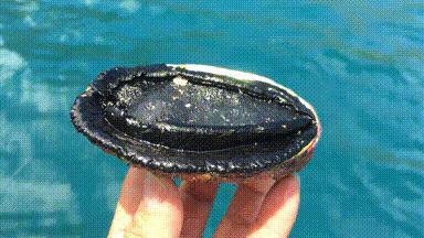 十年前,我只带了一根鱼竿出门,吃遍了世界上的各种顶级海鲜