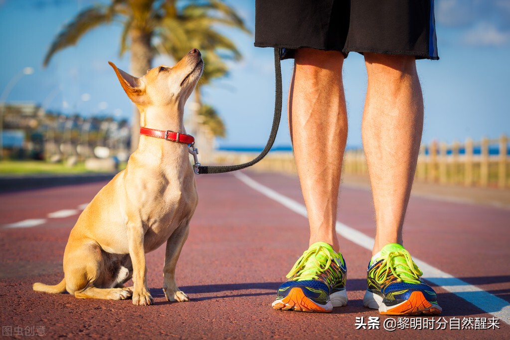 科斯的企业社会成本,科斯关于企业性质的分析