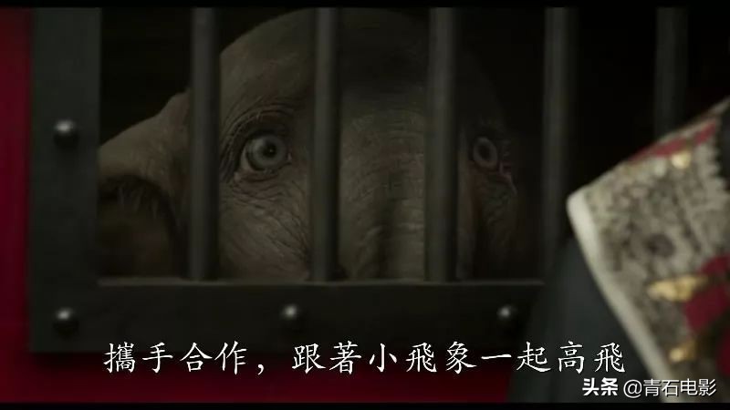 小飞象哪年上映的,上映18小时电影票房