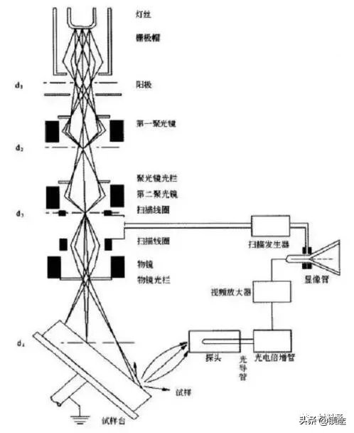 sem扫描电镜使用手册,一文看懂超声诊断
