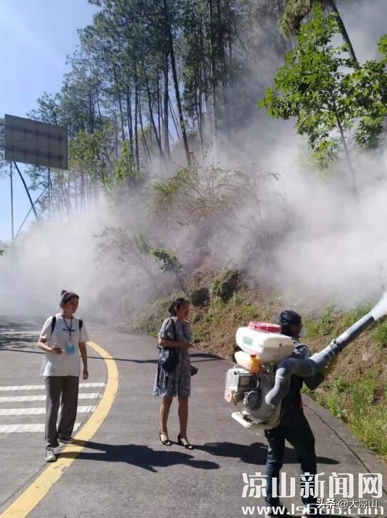 四川松材线虫防治方法,四川松材线虫最新防治方案