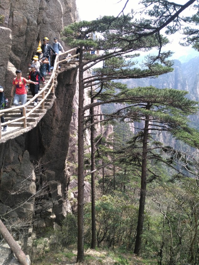 一品黄山烟,一品黄山价格表和图片