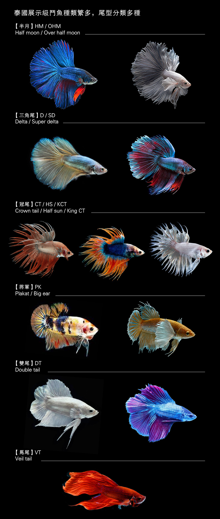 全部泰国斗鱼,泰国斗鱼品种图鉴大全