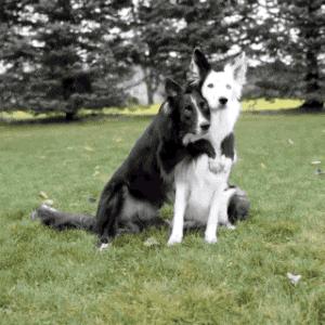 山海经中以乳为目以脐为口的怪物,山海经搞笑图片