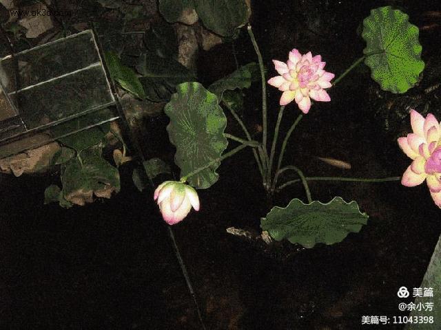 上海昆虫馆,上海昆虫博物馆研学