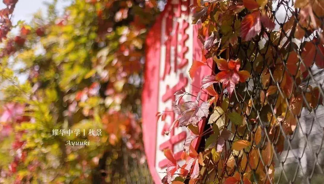 天津耀华中学光荣榜,天津耀华中学2019