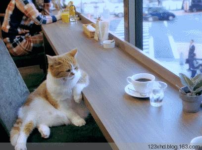 类似cheers的英语单词,英语说cheers什么意思