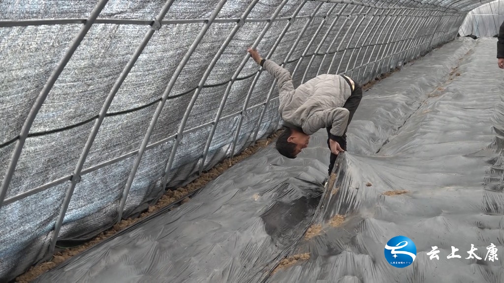 决战决胜脱贫攻坚产业扶贫,脱贫攻坚致富之路