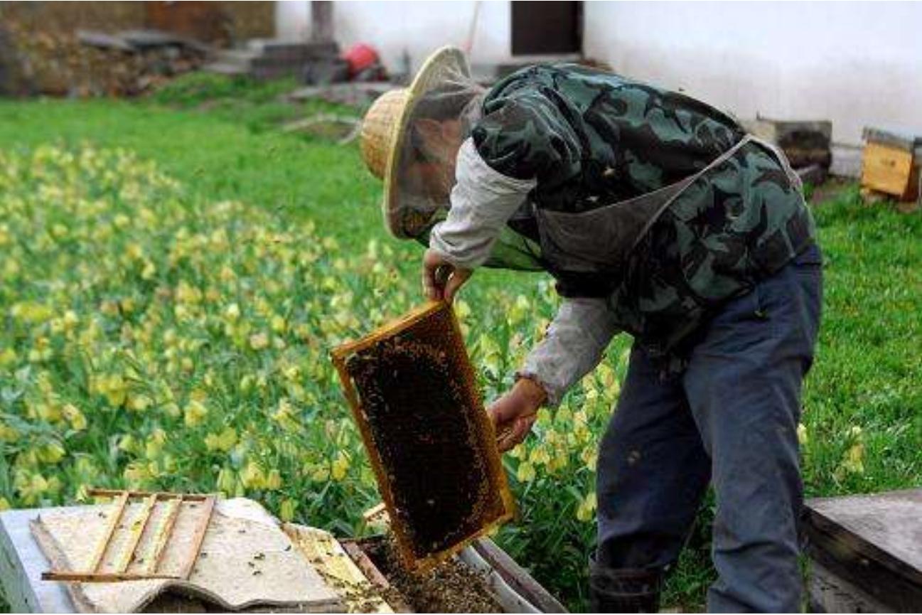 尼勒克县在天山脚下,尼勒克县离天山有多远