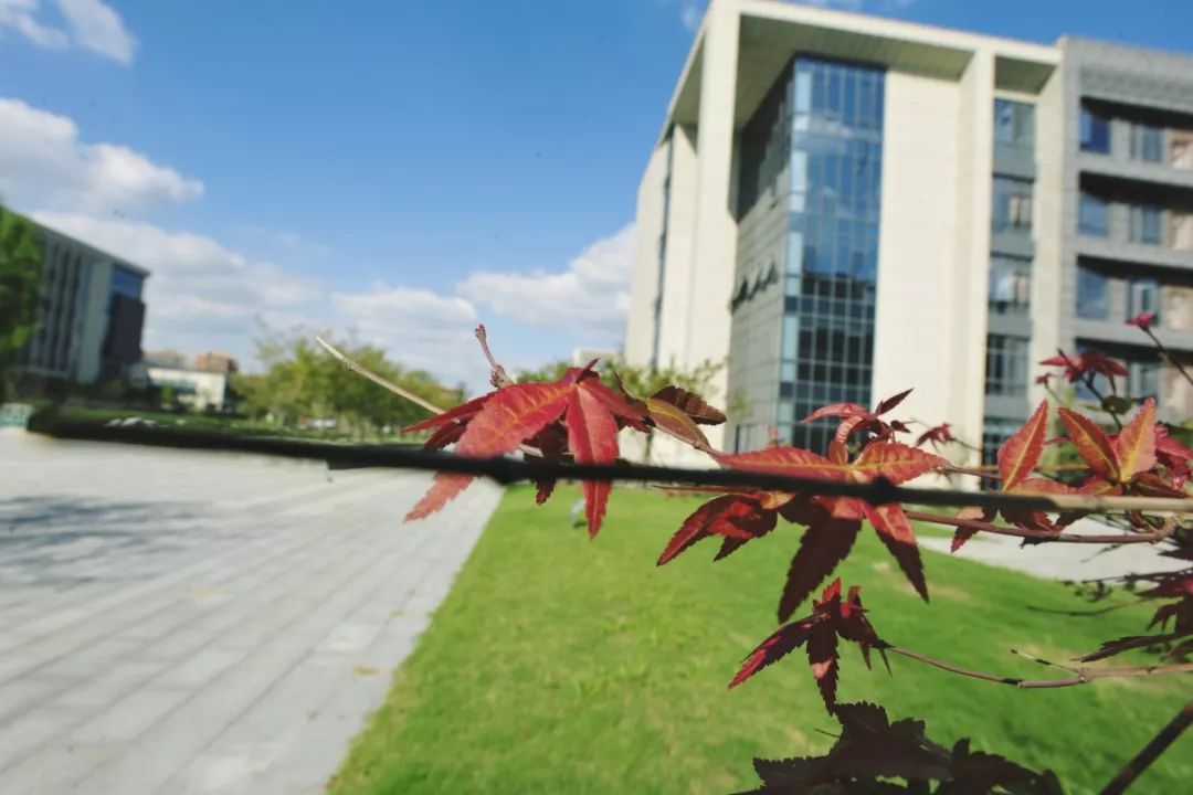 泰州职业技术学院招生咨询,泰州职业技术学院2019年招生简章