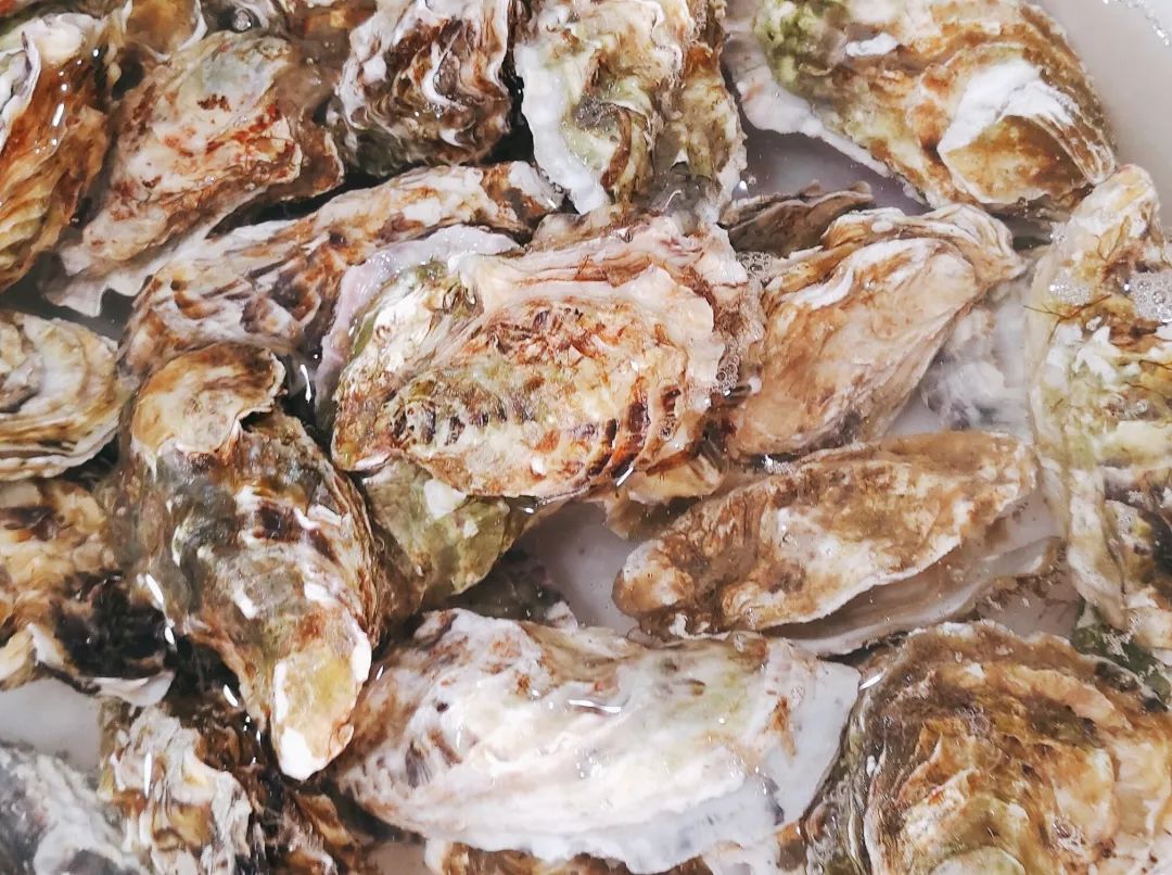 秦皇岛休渔海鲜贵吗,秦皇岛禁渔期海鲜怎么来的