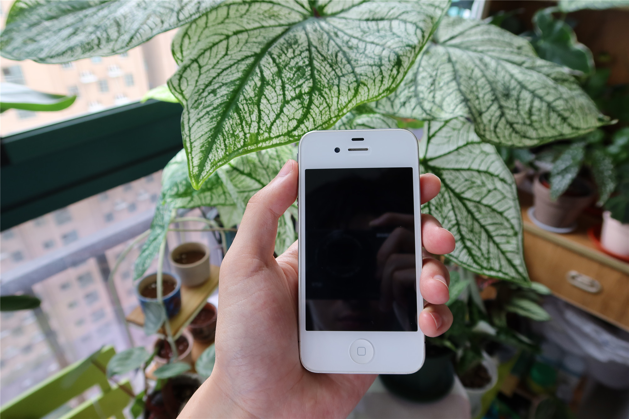 iphone4当年发布有多惊艳,iphone12是为了纪念iphone4吗