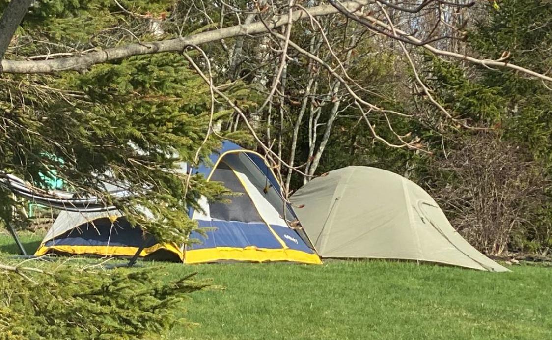 疫情肆虐下的加拿大，顽强、鲜活的小城春天