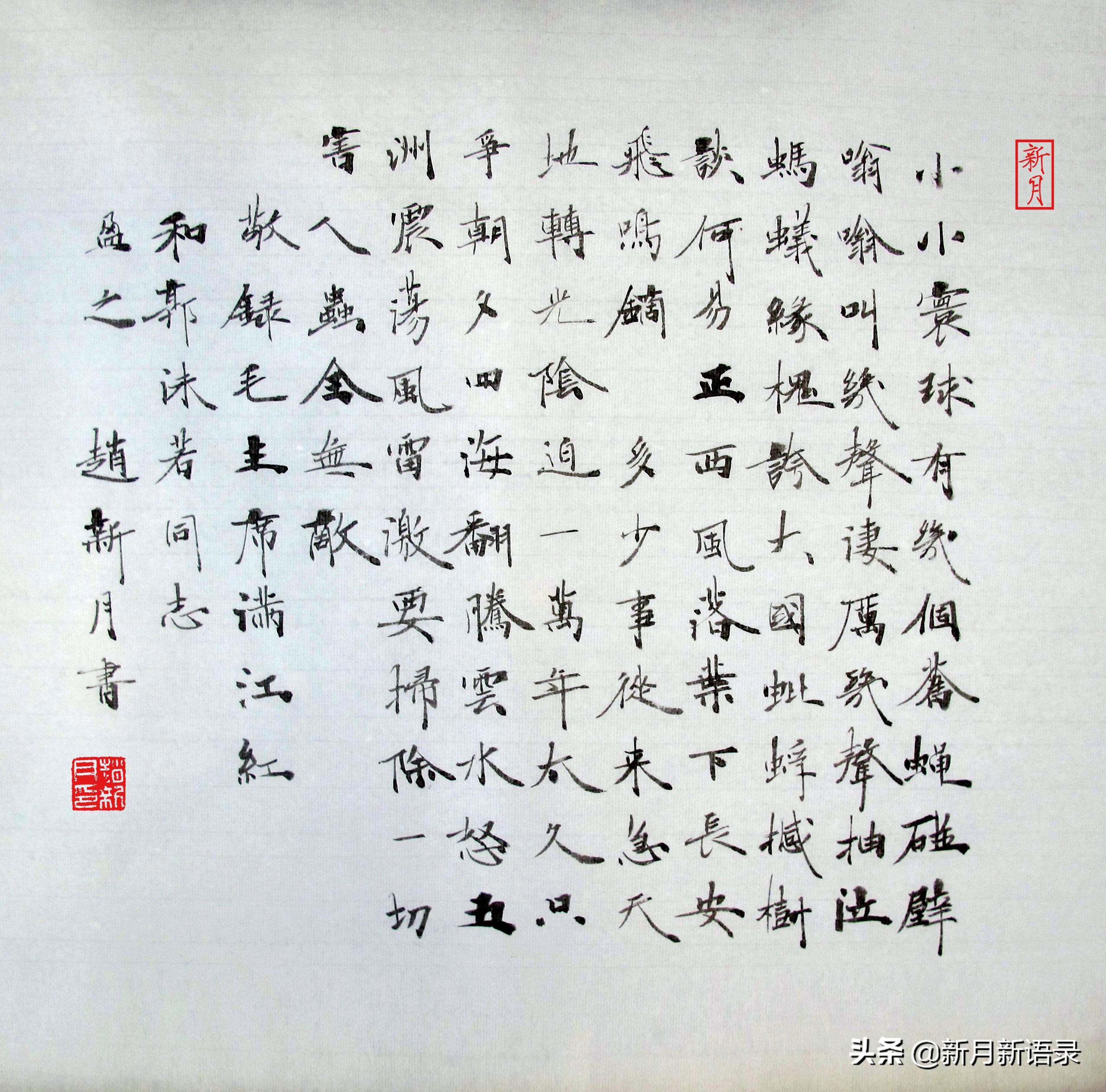 毛主席《满江红》说的“几只苍蝇”指谁?丨赵新月新解毛主席诗词