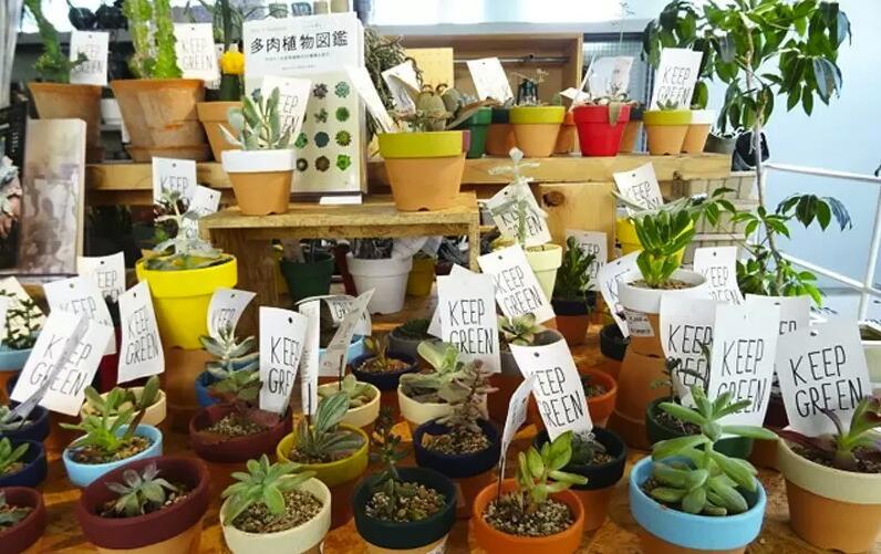 东京自由之丘甜点攻略,东京自由之丘哪个位置最好