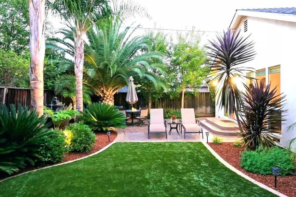 棕榈科植物的景观用途,观赏棕榈植物与景观