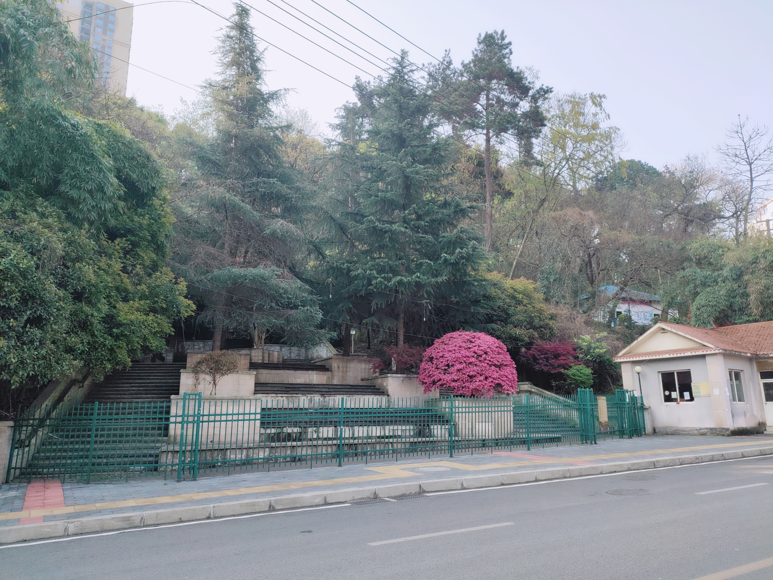 网络问政|一墙之隔却要绕行一公里！花果园一小区业主想开门直通公园遭拒