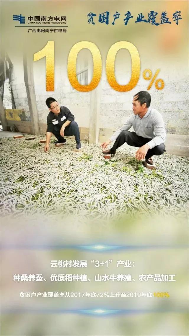 国网辽宁电力扶贫带货,电力扶贫带货记