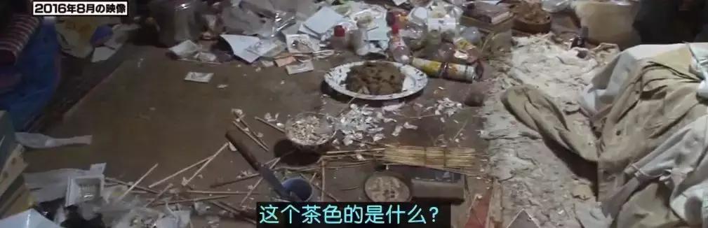 真敢拍啊！这部9.5分冷门岛国综艺，刷新了我的三观