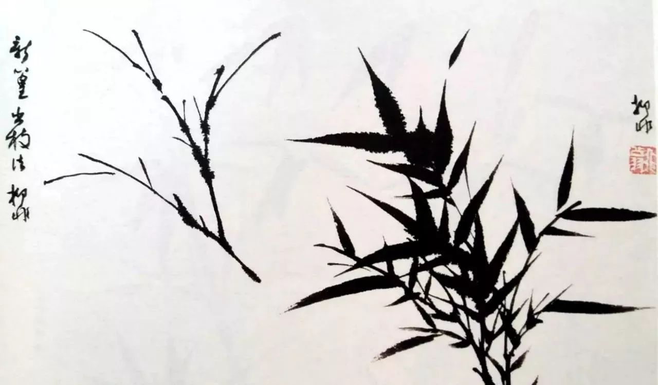 陆抑非画竹欣赏,陆抑非竹子画作品欣赏