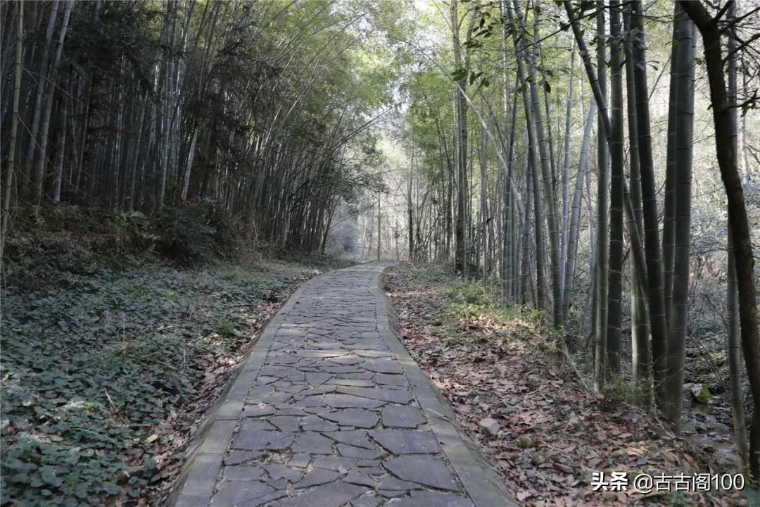 越王峥大峡谷：风景壮美，迷倒众生