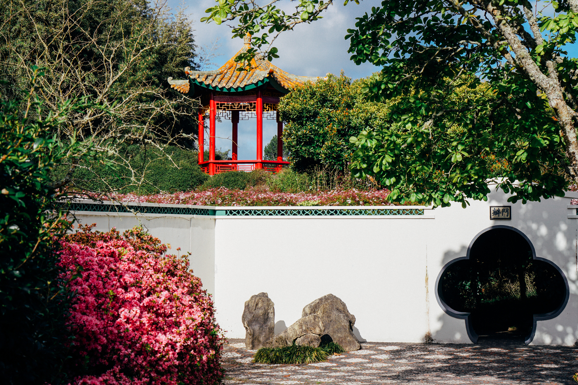 为什么说新西兰是纯净的,新西兰北岛有值得去的地方吗