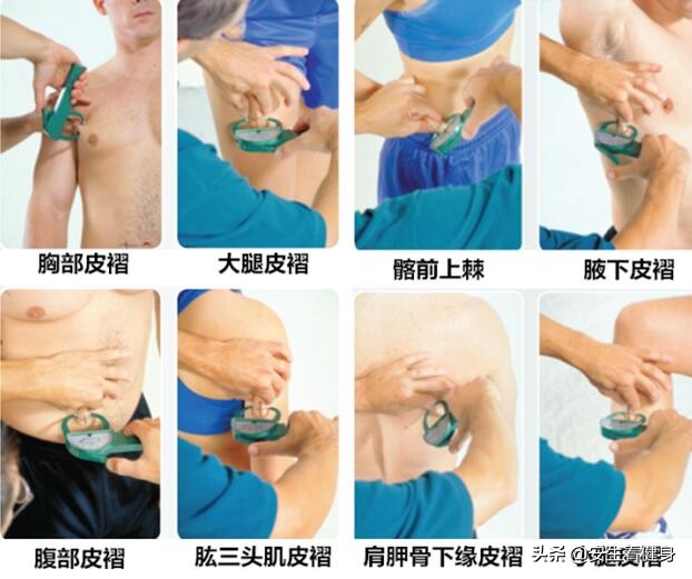 3种测量身体脂肪含量的方法,体脂测量标准对照表