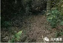 应天山上居然也有“十不得”，陆九渊都笑了……