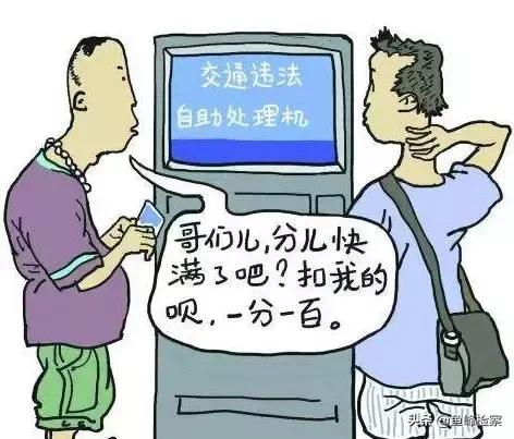 车管所安全文明教育动画,交通安全知识中作假罚款多少