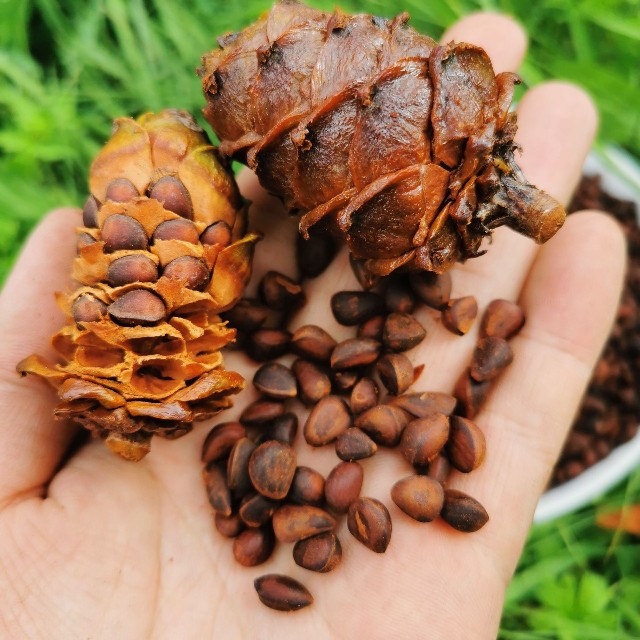 家乡特色美食分享,我家乡的特色是什么