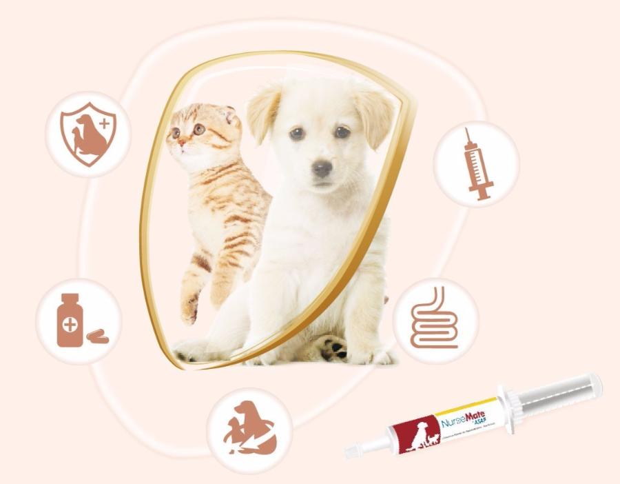 添赐力免疫增强膏可以做什么,添赐力免疫增强膏可以补钙吗